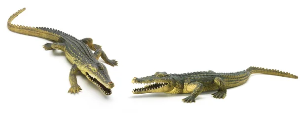 Crocodilos de borracha — Fotografia de Stock