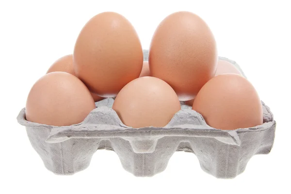 Eieren op karton — Stockfoto