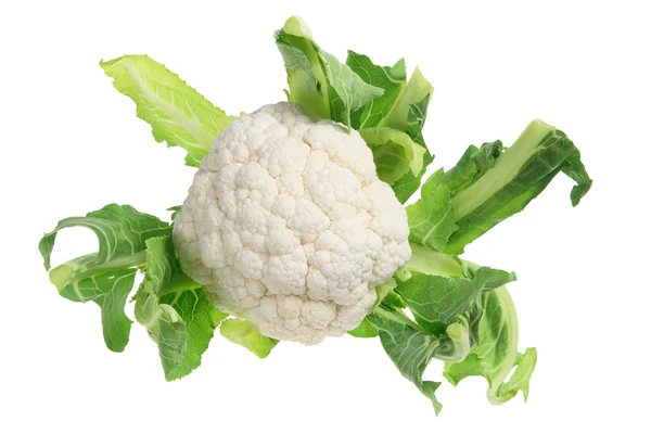 Cauliflower Stock Image