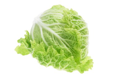 Chinese Cabbage clipart