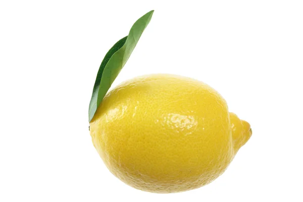 Hele citroen — Stockfoto