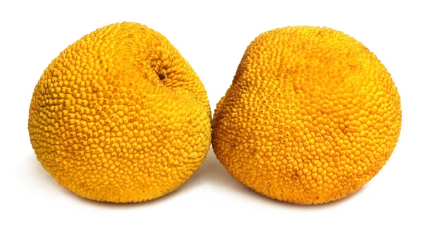 Små jackfruits — Stockfoto