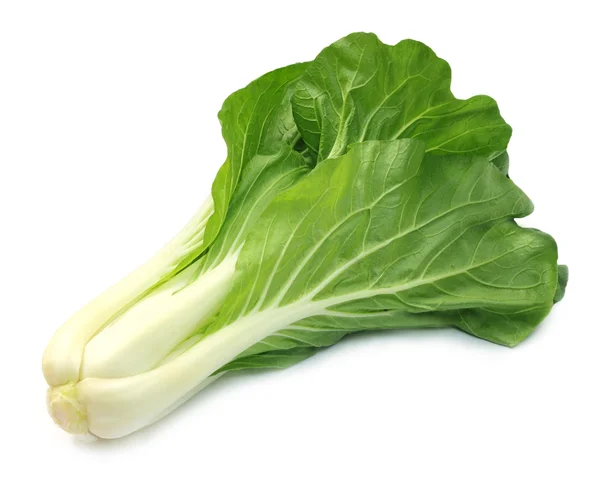 Chinese cabbage or bok choy — Stock Photo, Image
