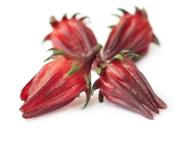 Hibiscus sabdariffa eller roselle frukter — Stockfoto
