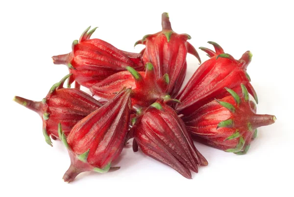 Hibiscus sabdariffa ou frutos silvestres — Fotografia de Stock
