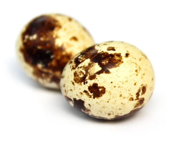 Два перепелиных яйца — стоковое фото