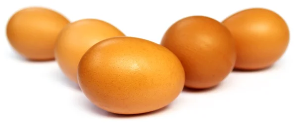 Färska ägg — Stockfoto