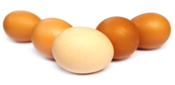 신선한 계란 — 스톡 사진