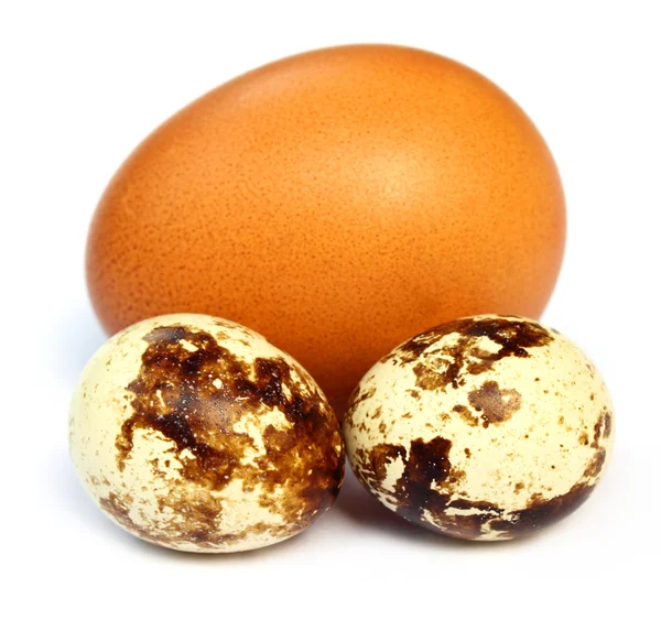Eier gemischt — Stockfoto