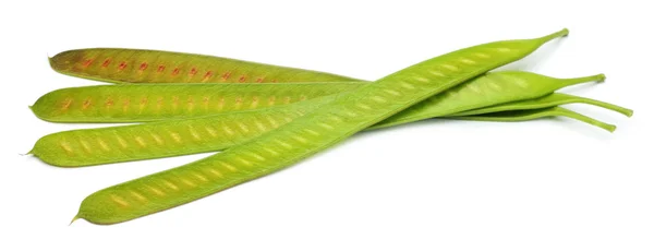 Leucaena leucocephala oder ipil ipil bean — Stockfoto