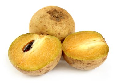 Sapodilla fruits clipart