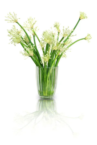 Cibulové listy s květinami — Stock fotografie