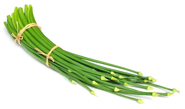 Onion leaves — Stock Photo, Image
