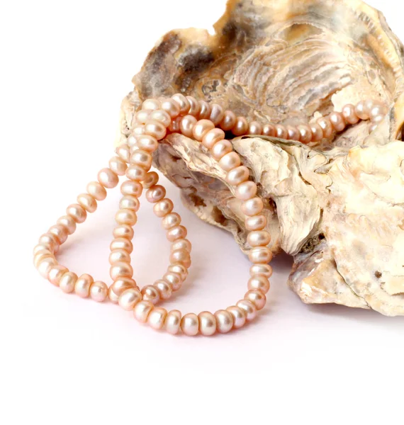 Stringa di perla su un guscio di mare — Foto Stock
