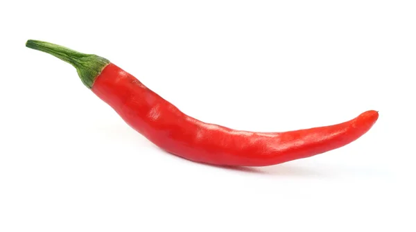 Shiny red chili — Stock Photo, Image