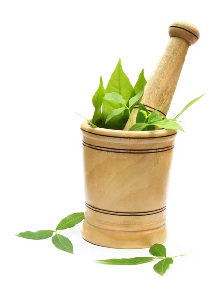 Drewniane moździerz i tłuczek z zielony zioła — Zdjęcie stockowe