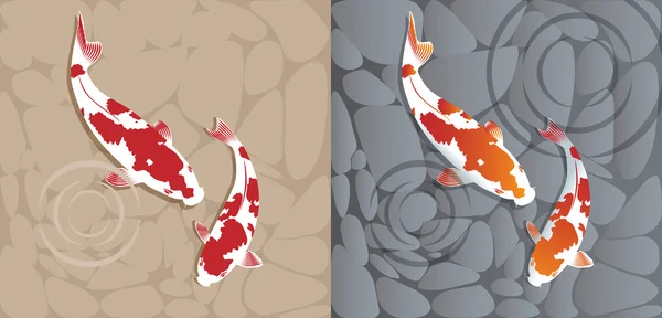 Ein Paar Coi-Fische — Stockvektor