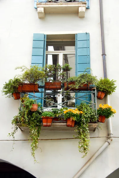Terrasse und Fenster mit Blumentöpfen — Stockfoto