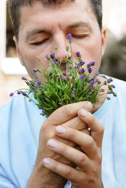 Man smelling lavender — Stock Photo, Image