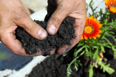 Black soil clipart