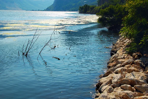 stock image Danube riverbank