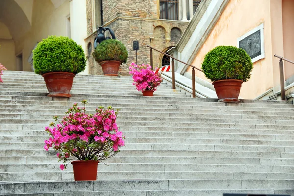 Padua, stairs — Stock Photo, Image