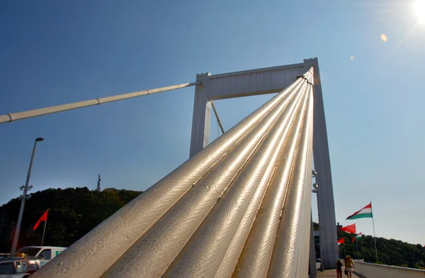 ブダペストのエリザベート橋 — ストック写真