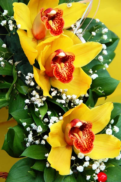 Yellow orchids — Stock Photo, Image