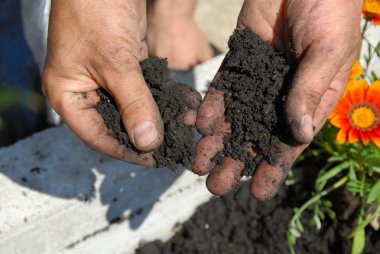 Black soil clipart
