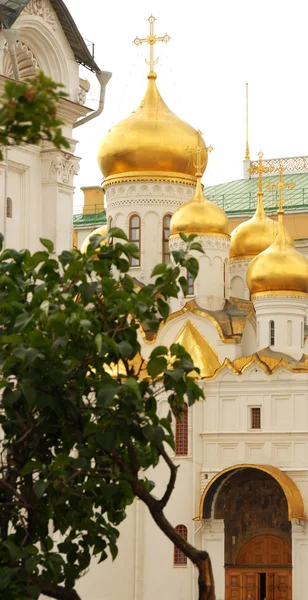 Moskova kremlin kiliseler — Stok fotoğraf