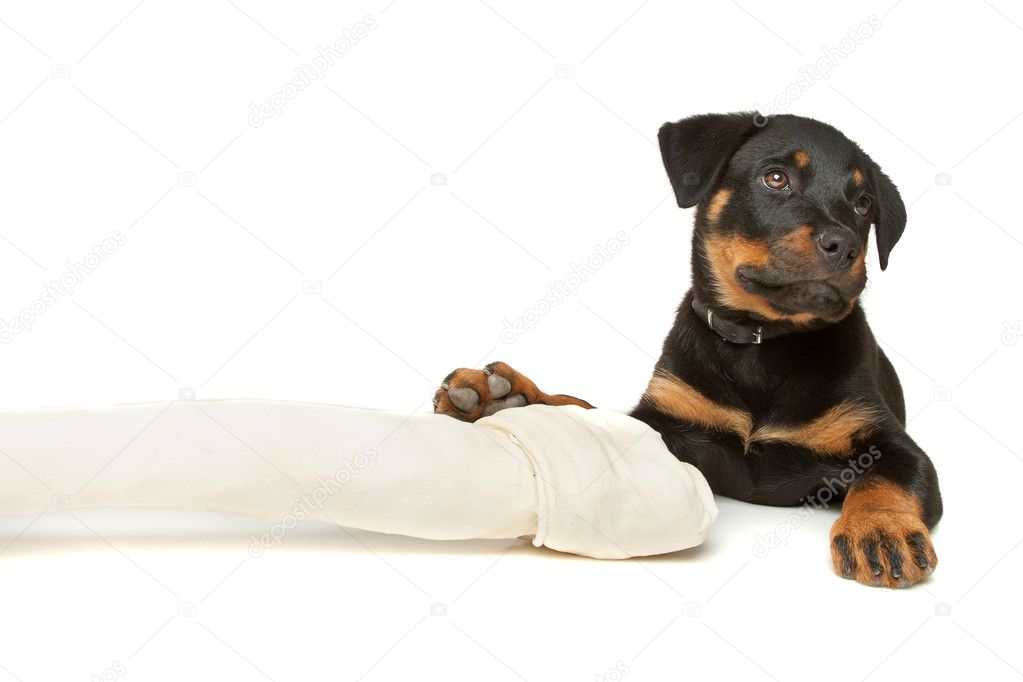 are bones safe for rottweiler puppies