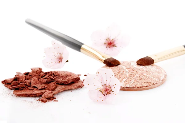 Makyaj ve iki fırça kahverengi toz — Stok fotoğraf