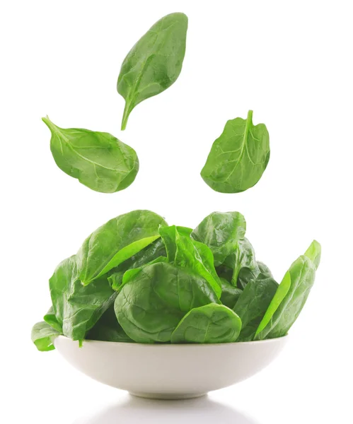 stock image Fresh spinach in a white bowl