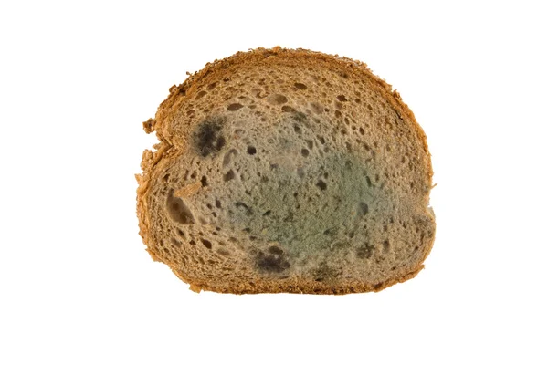 Sepotong roti berjamur — Stok Foto