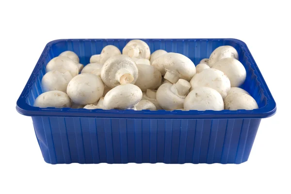 Fresh champignion mushrooms in blue box — Stock Photo, Image