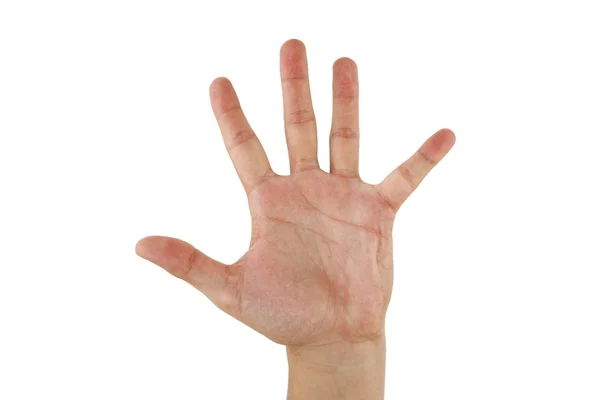 Open hand over white background — Stock Photo, Image