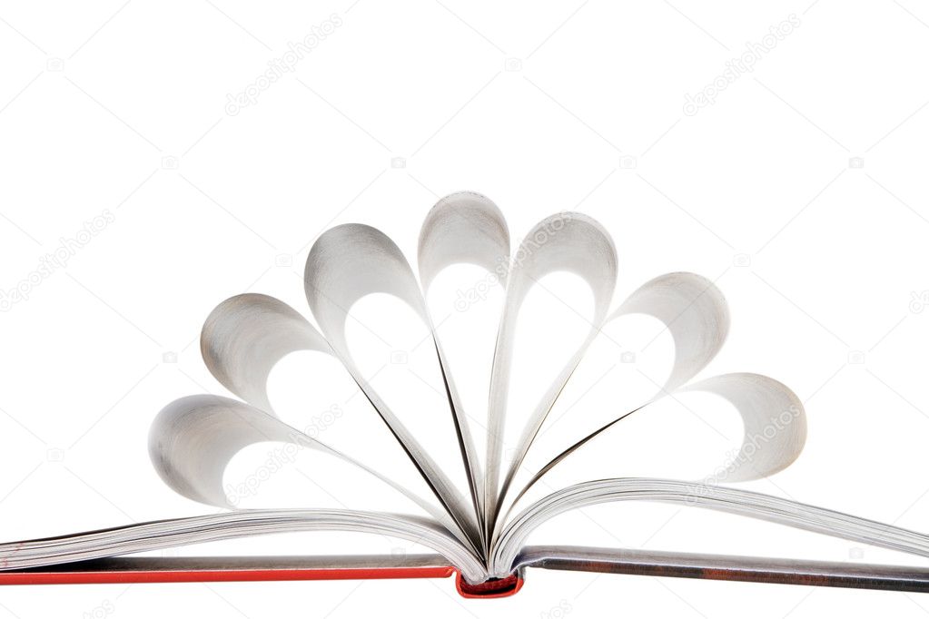 Book pages folded into a flower shape