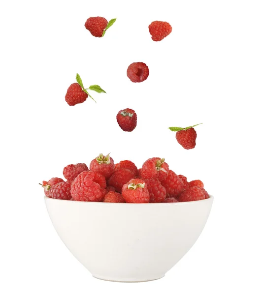 Røde hindbær, friske - Stock-foto