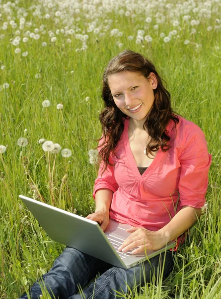 Женщина с ноутбуком на лугу — стоковое фото