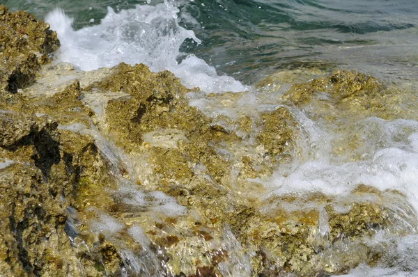 stock image Breaking wave