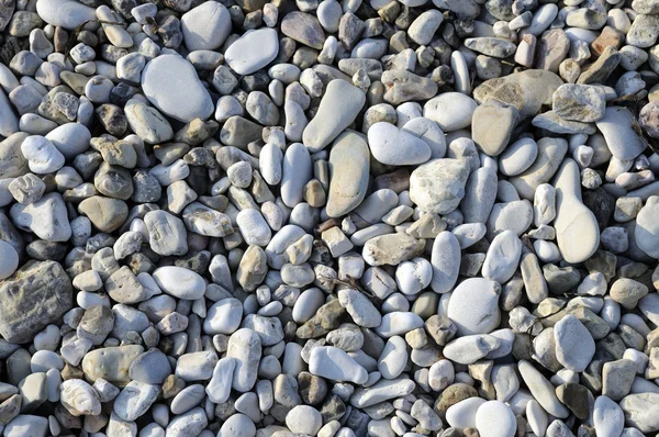 stock image Pebbles