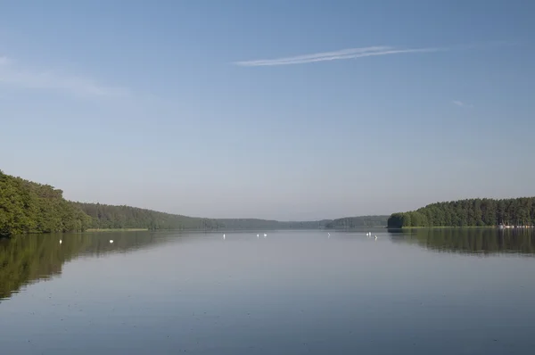 Morning at the lake — Stock Photo, Image