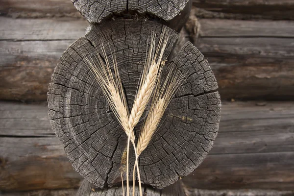 Пшеница на деревянном фоне — стоковое фото