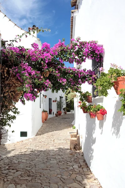 狭窄的鹅卵石的街道和房屋的西班牙普韦布洛 — 图库照片