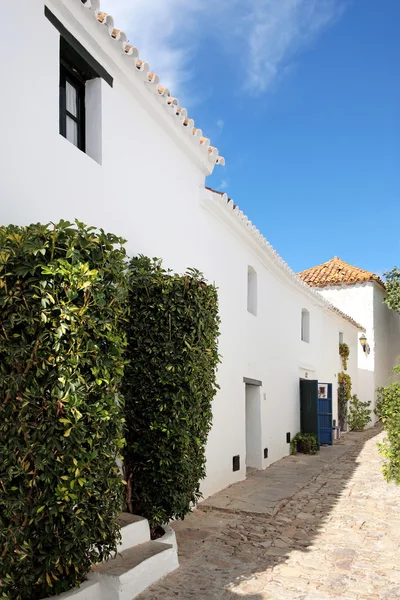 狭い石畳の通りとスペイン語の種族の家 — ストック写真