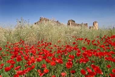 Red Poppies in field with Spanish ruin behind clipart