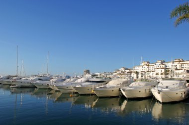 Luxury yachts at sunrise in Puerto Banus, Spain clipart