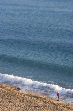 Güneşin weymouth sahil boyunca Köpeğiyle yürüyen adam