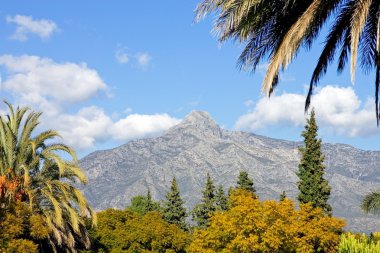 la concha dağ Marbella ile peyzaj