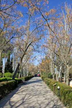 Granada'da alhambra Sarayı bahçeleri